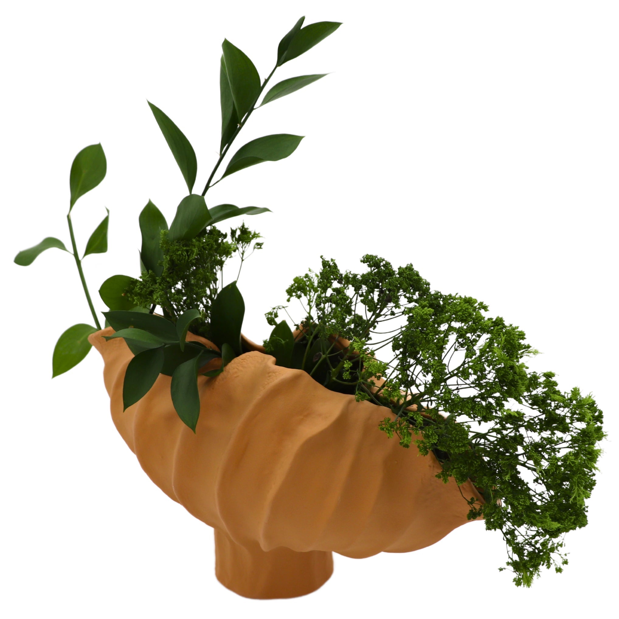 Sirene Shell Vase Ro'Table