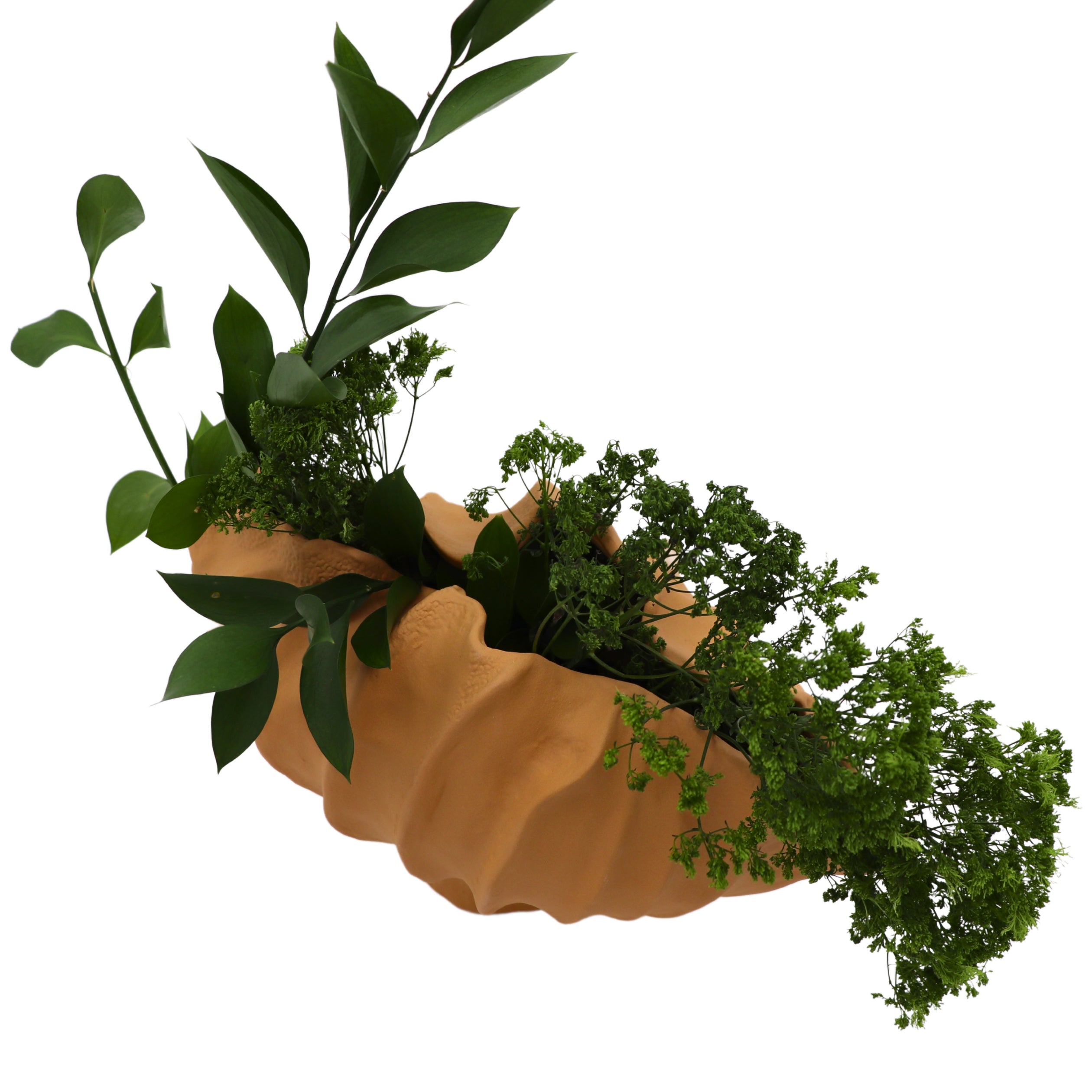 Sirene Shell Vase Ro'Table