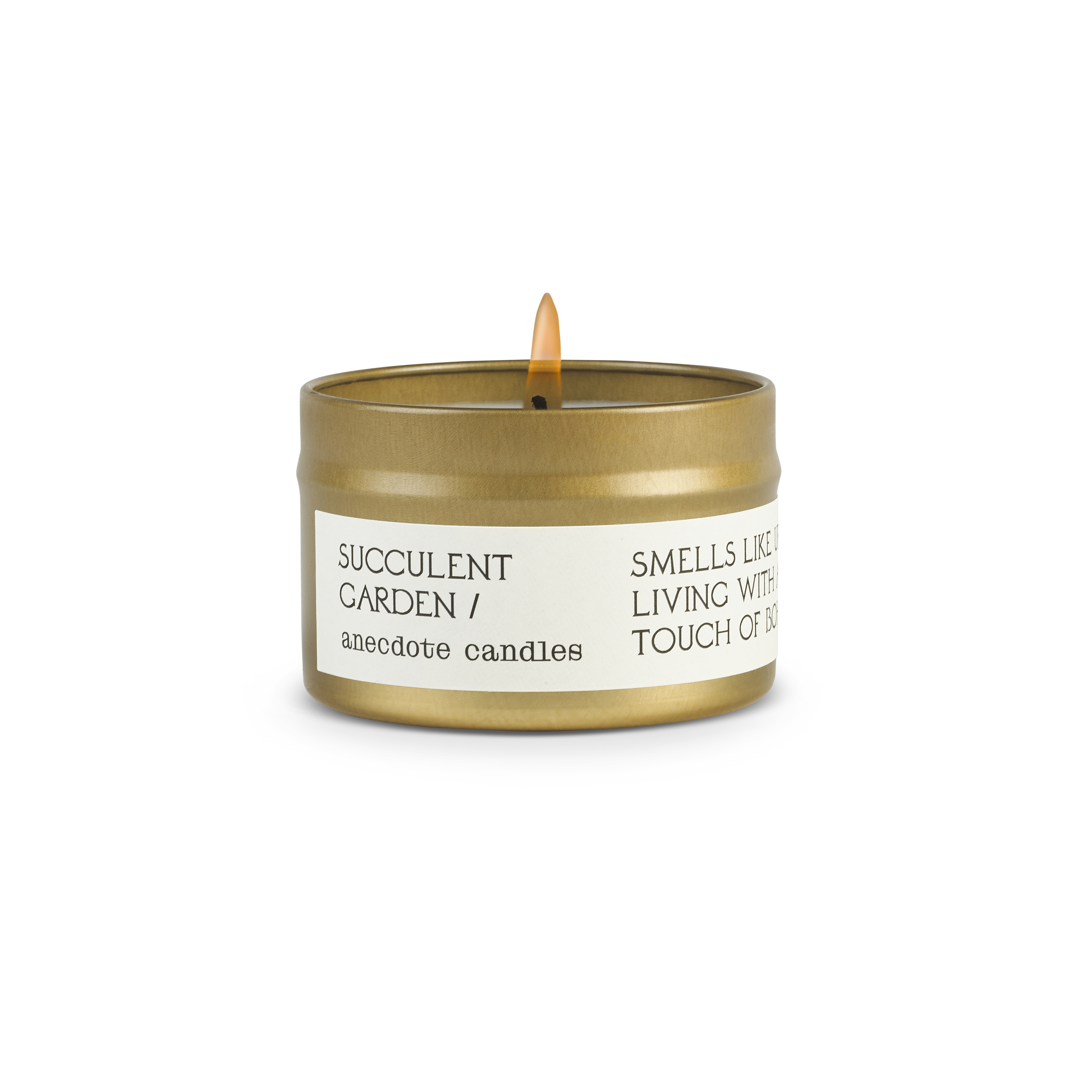 Succulent Garden Anecdote Candles
