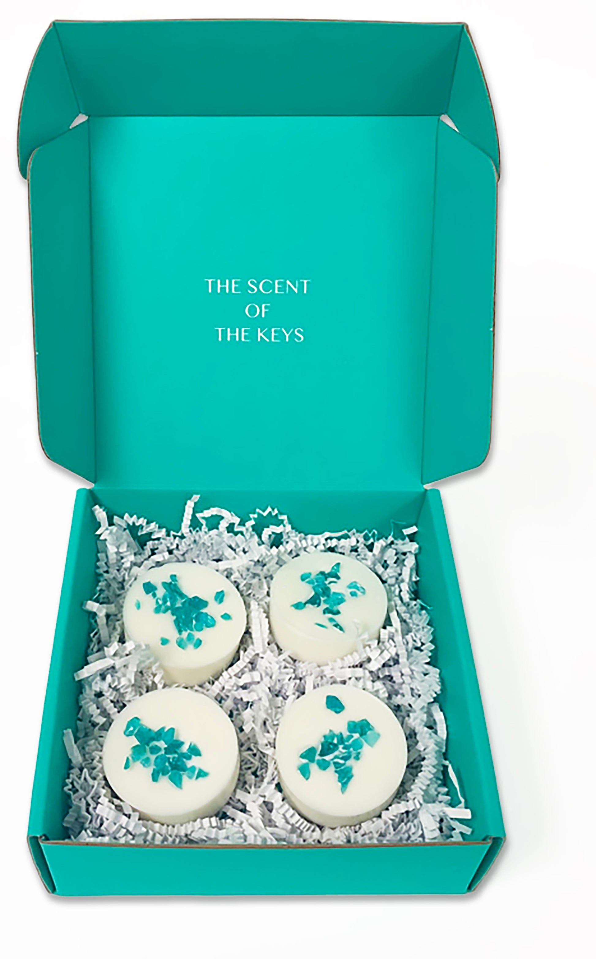 Lazy Day Wax Melts AQUA D' KEYS