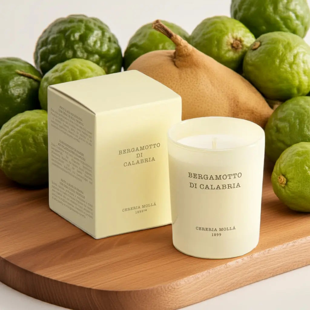 Premium Mini Candle - 2.6 oz / 75 g Coastous