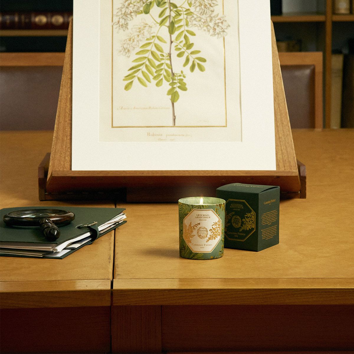 Carrière Frères - Artemisia Absinthium - Absinthe Candle 6.5 oz Carrière Frères