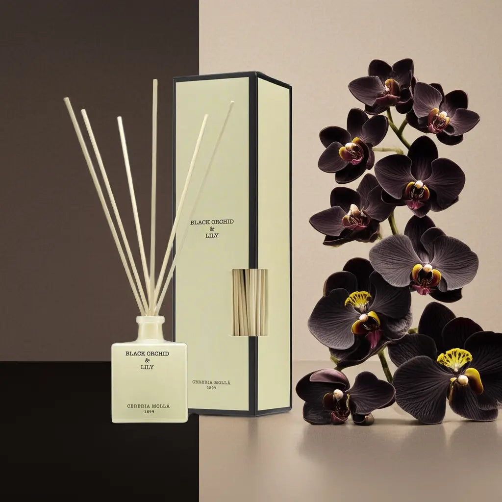 Premium Reed Diffuser - Black Orchid & Lily Coastous