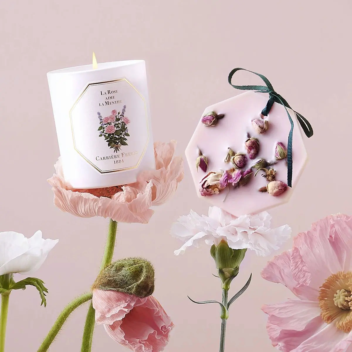 Carrière Frères - La Rose aime la Menthe Botanical palets