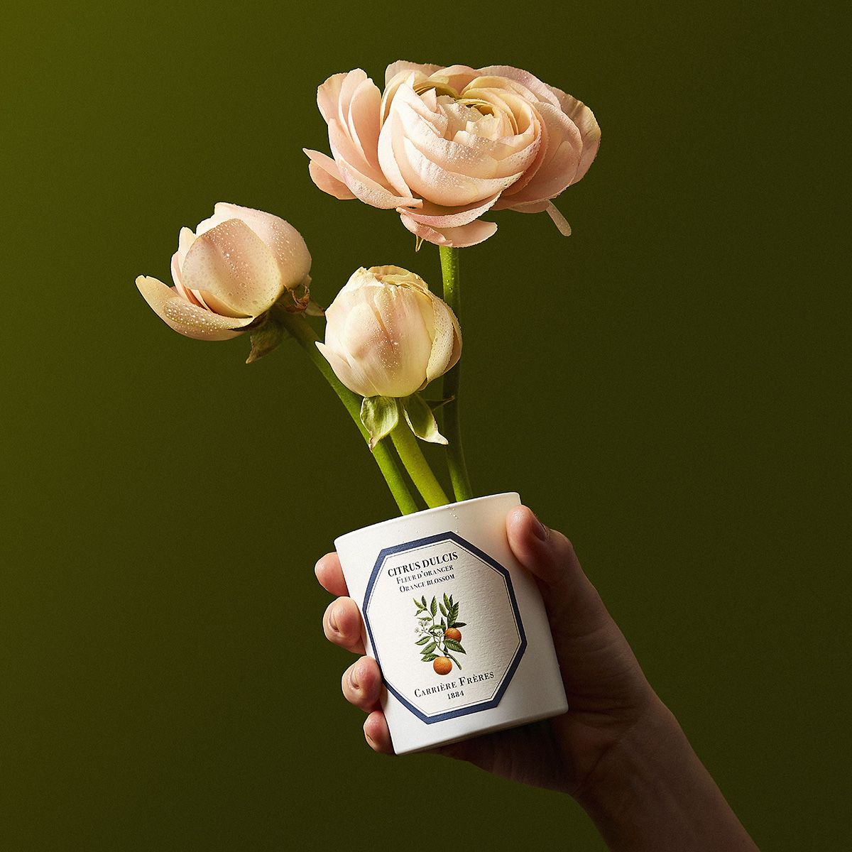 Carrière Frères - Citrus Dulcis - Orange Blossom Candle 6.5 oz Carrière Frères