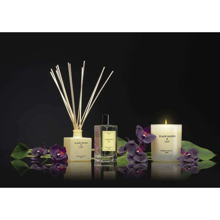 Cereria Molla - Black Orchid & Lily Ivory Premium Candle - 8 oz / 230 g - Coastous