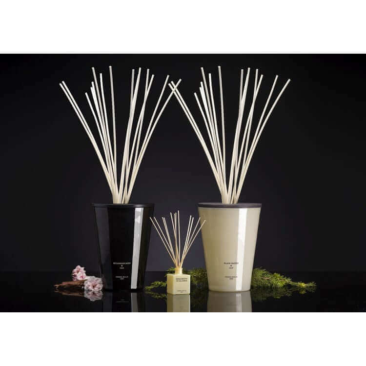 Cereria Molla - Bulgarian Rose & Oud Diffuser - Coastous