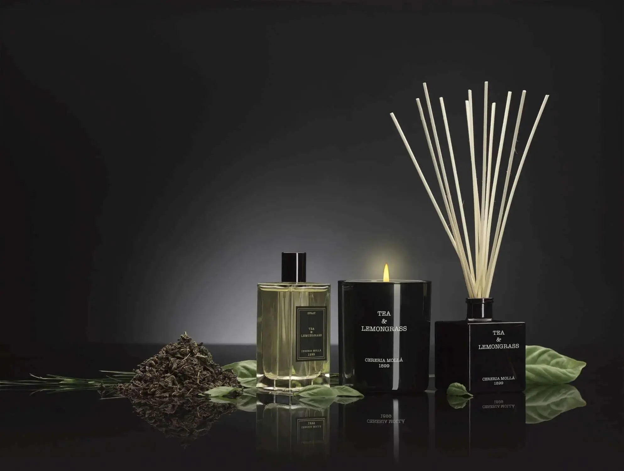 Cereria Molla - Tea & Lemongrass Candle - 8 oz / 230 g