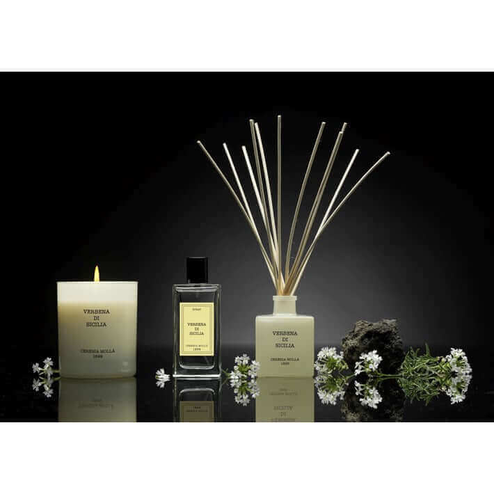 Cereria Molla - Verbena di Sicilia Ivory Premium Candle - 8 oz / 230 g - Coastous