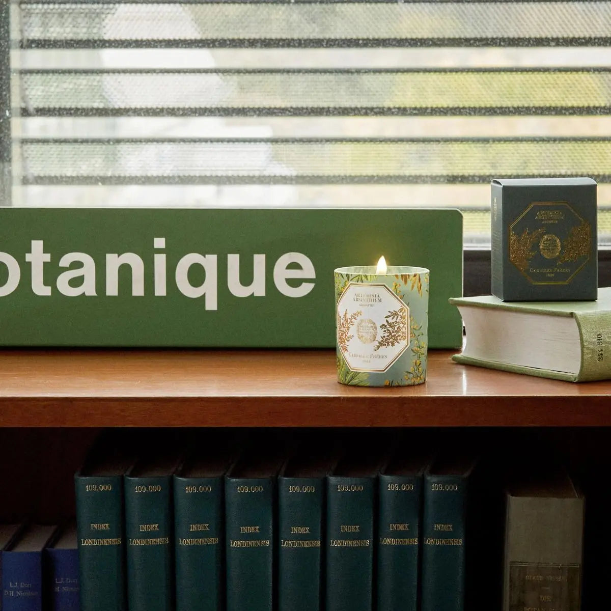 Artemisia Absinthium - Absinthe Candle 6.5 oz Coastous