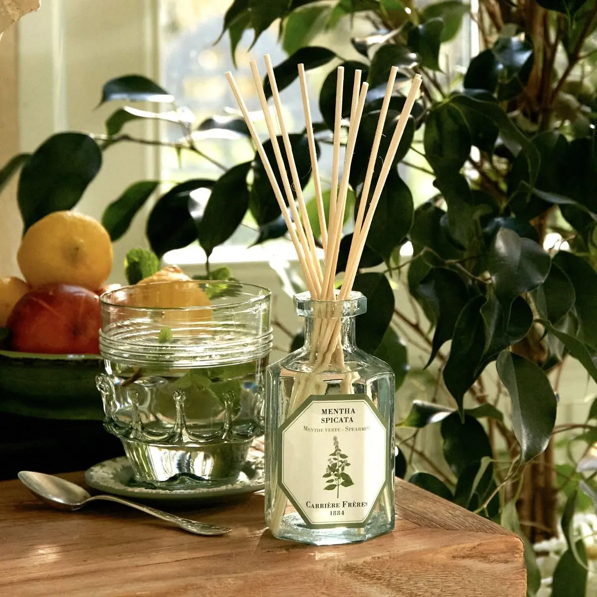 Carrière Frères - Spearmint Diffuser