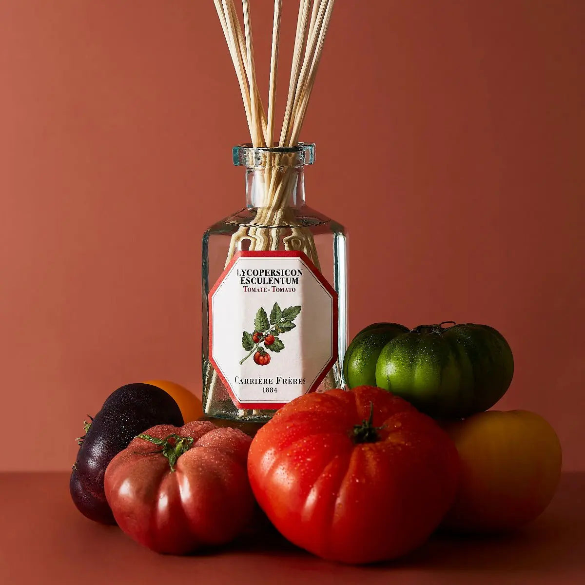 Tomato Diffuser Coastous