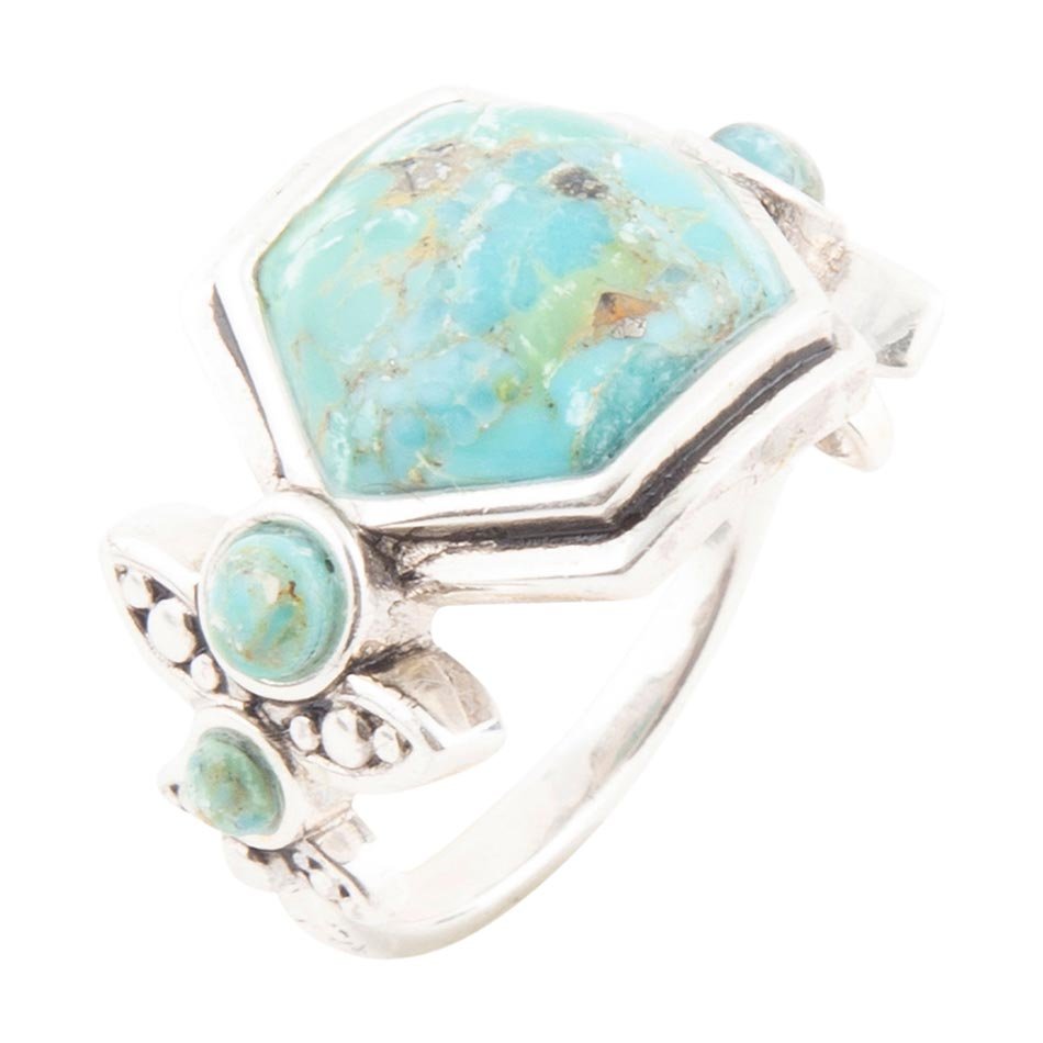 Emile Blue Turquoise and Sterling Silver Ring Barse Jewelry