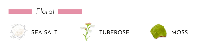 Floral scent elements: sea salt, tuberose flower, and moss illustrated on a clean background.