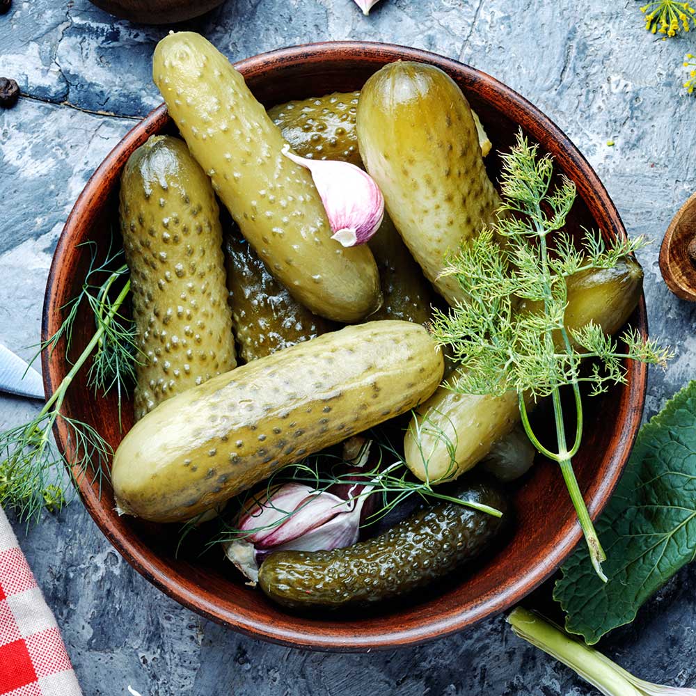 Fresh Dill Pickle Lip Balm EXOH