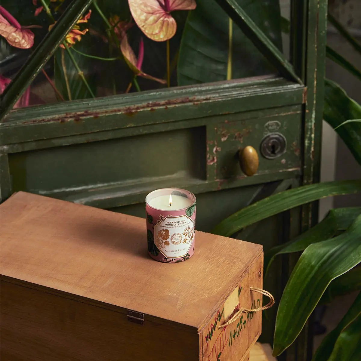 Pelargonium Geranium scented candle 6.5 oz / 185 g Coastous