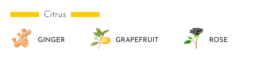 Citrus notes of ginger, grapefruit, and rose representing the fragrance profile of Black Pearls candle.