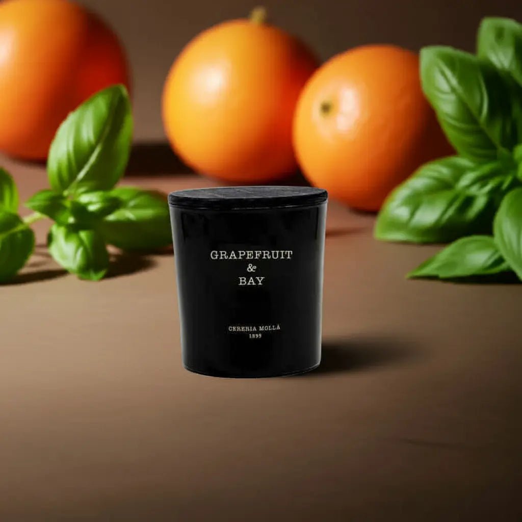 Grapefruit & Bay Black 3 wick XL Candle - 21 oz / 600 g Coastous