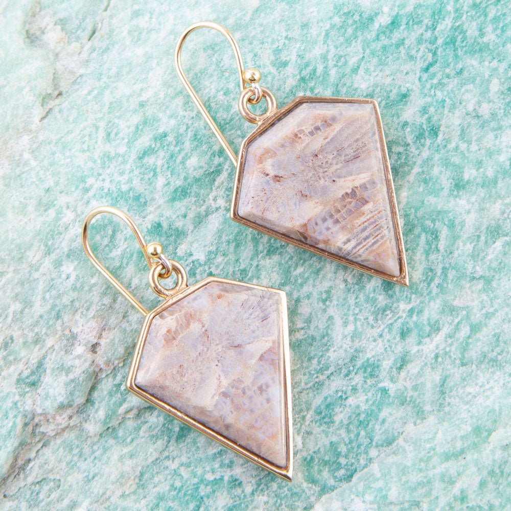 Lafayette Fossilized Coral Earrings Barse Jewelry