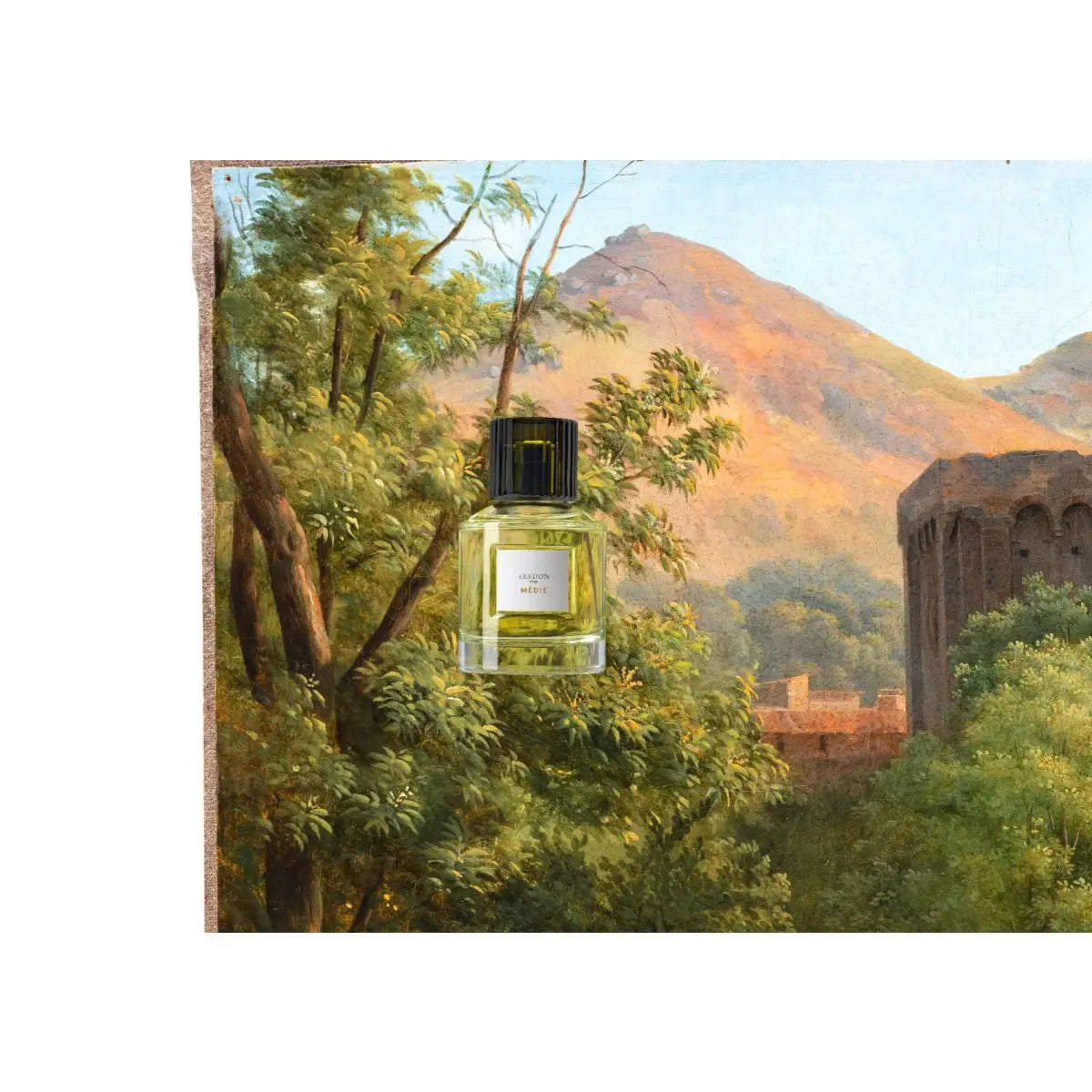 Trudon - MÉDIE