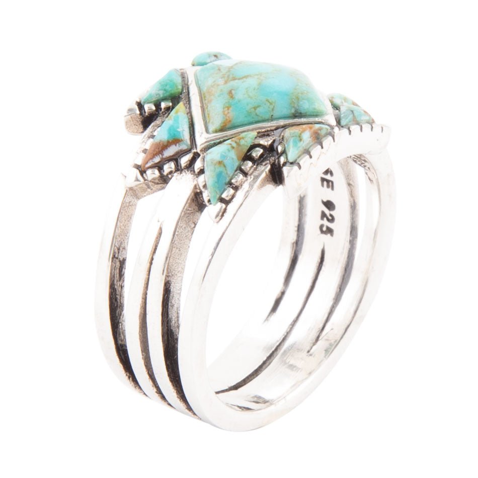 Sharp Blue Turquoise and Sterling Silver Ring Barse Jewelry