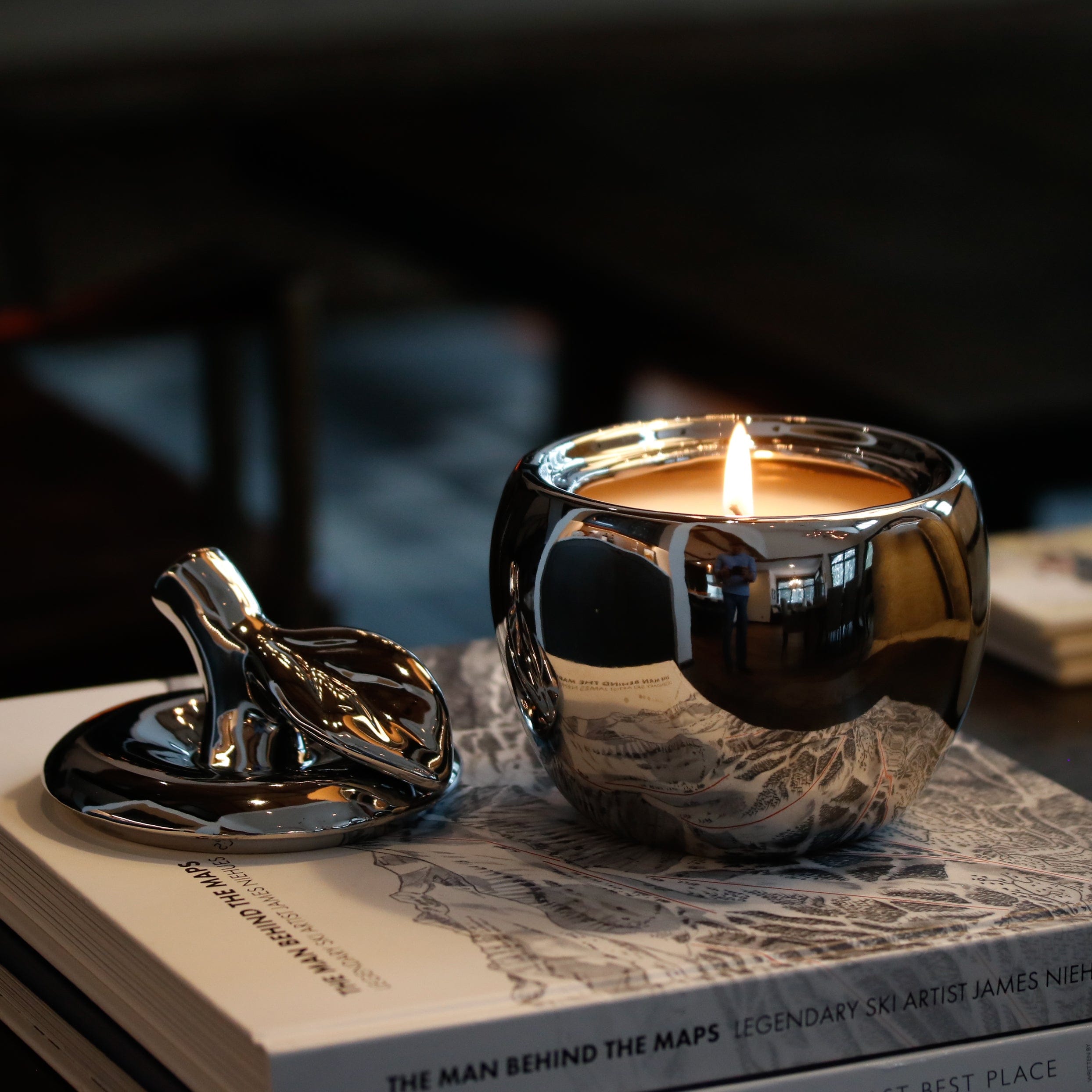 Silver Malus Apple Candle