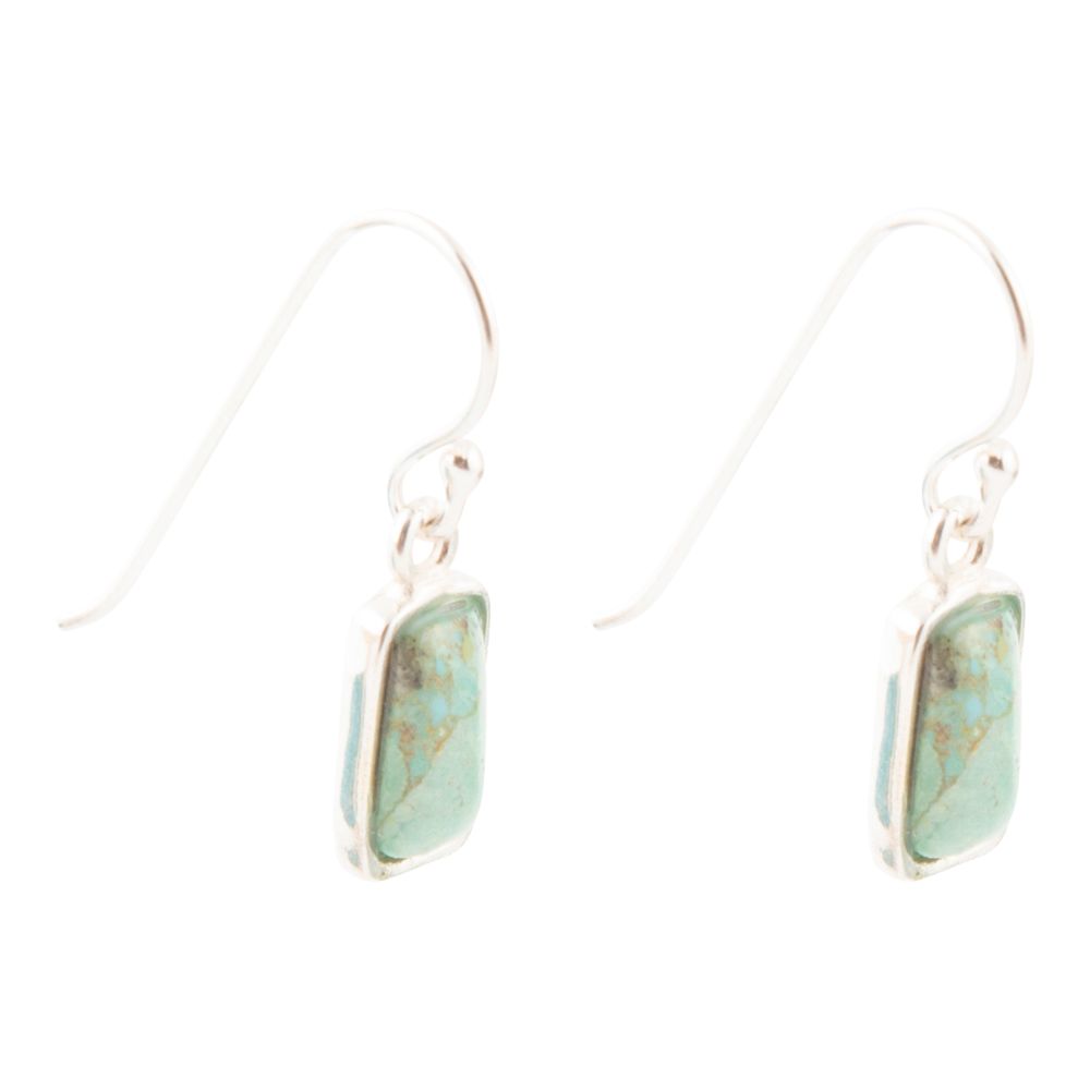 Small Blue Turquoise and Sterling Silver Drop Earrings Barse Jewelry