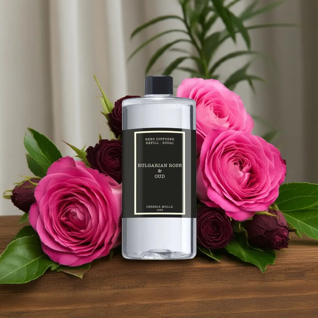 Premium diffuser refill 16.9 fl oz / 500 ml Coastous