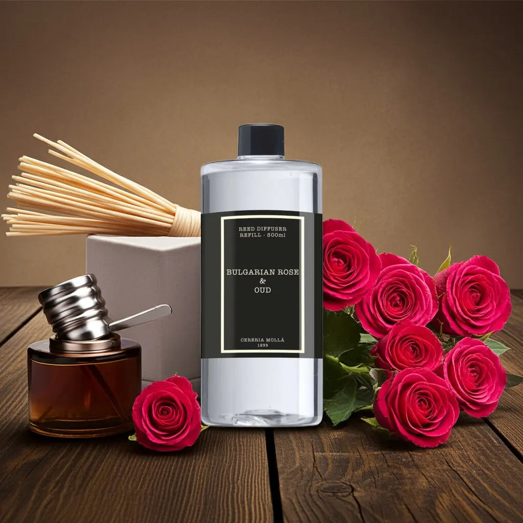 Premium diffuser refill 16.9 fl oz / 500 ml Coastous