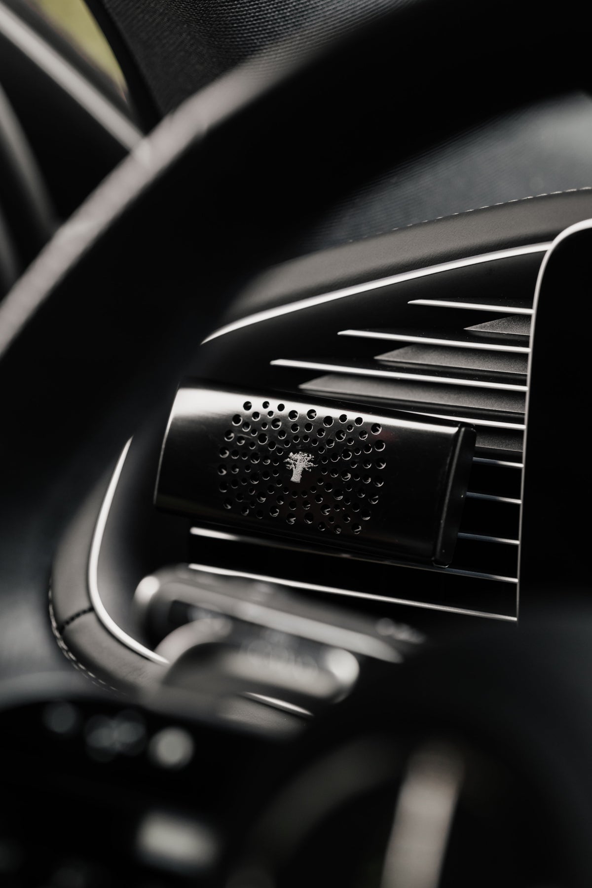 Baobab Collection - Car Diffuser Black Pearls