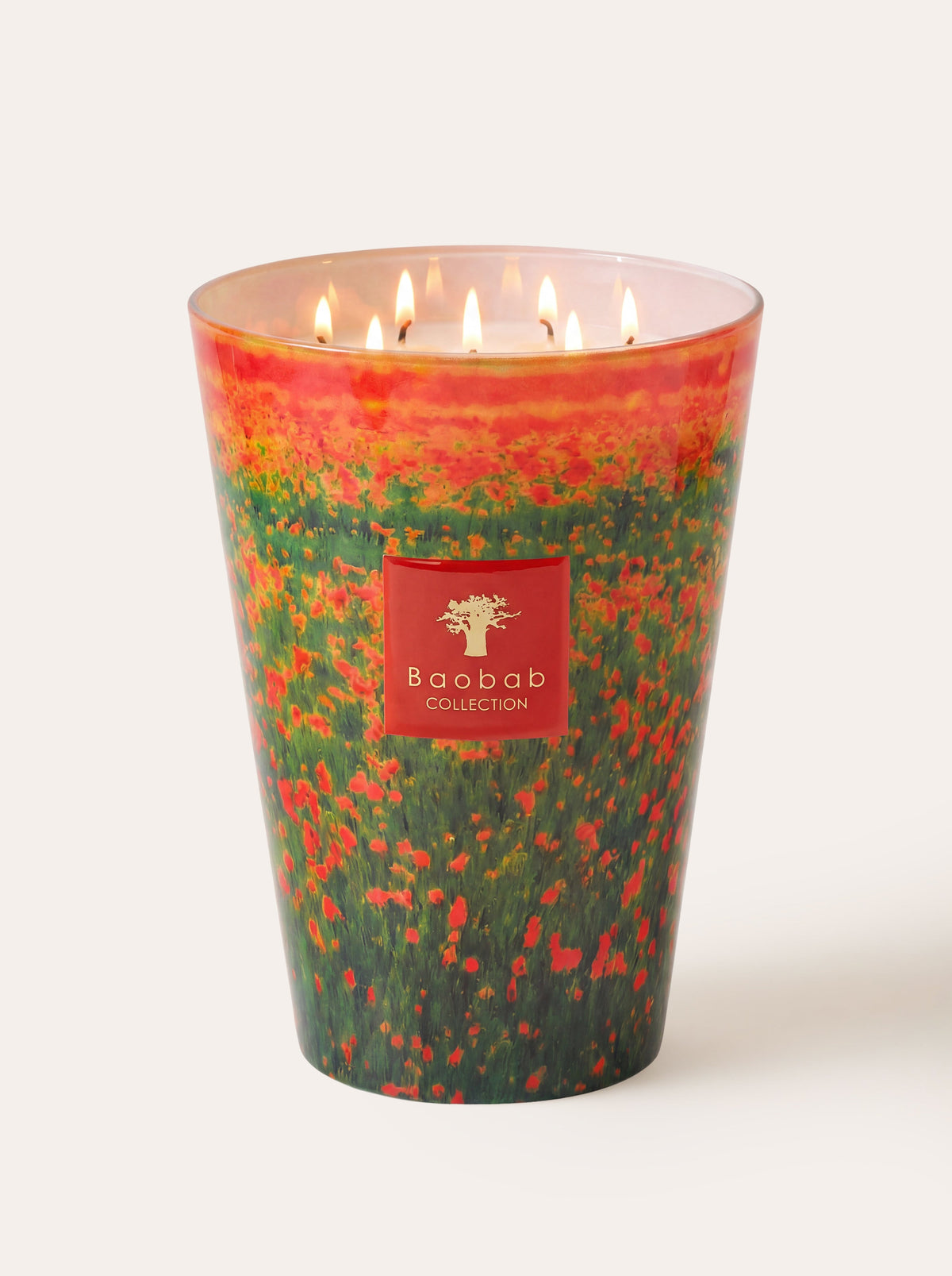 Baobab Collection - Arty Flowers Poppies Candle