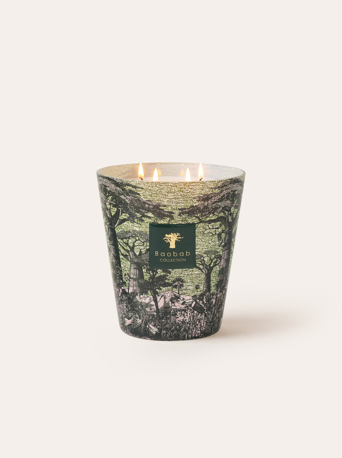 Baobab Collection - Scented Candle Sacred Trees Touba