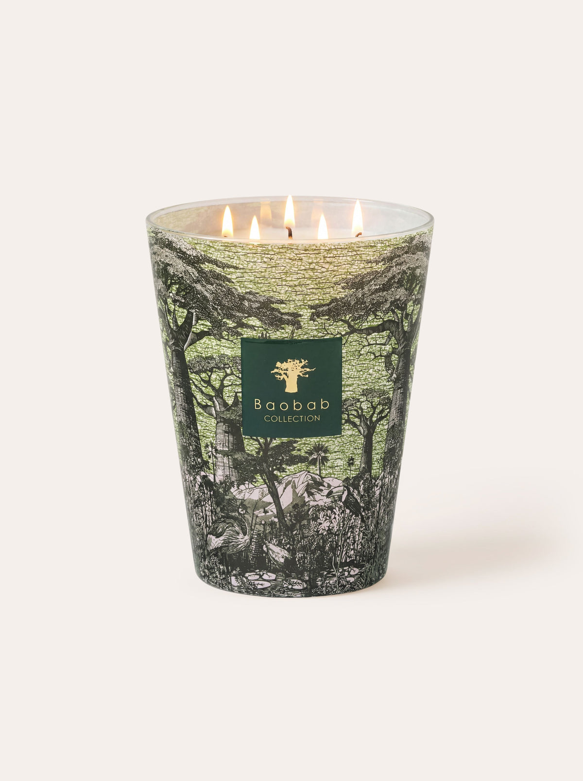 Baobab Collection - Scented Candle Sacred Trees Touba