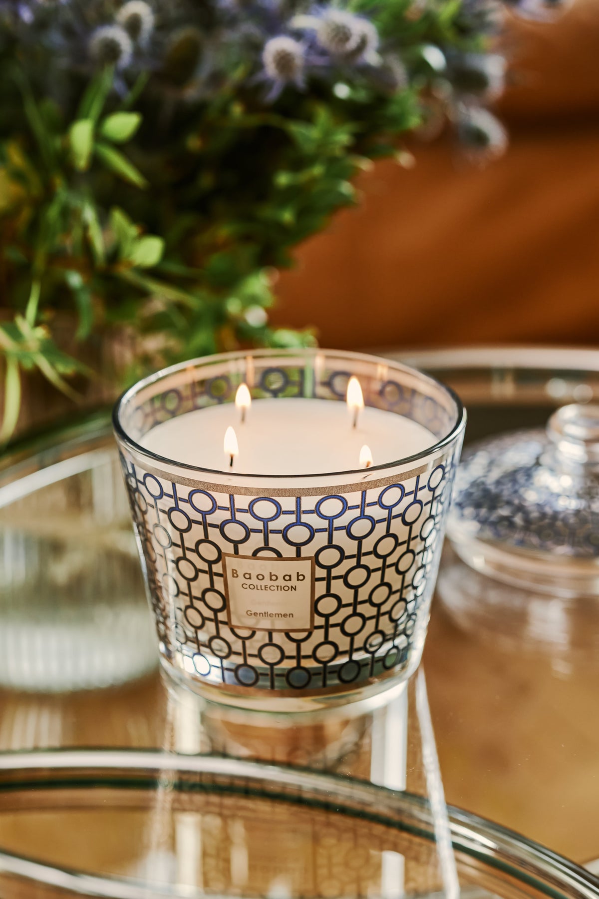 Baobab Collection - Gift Box Max10 Dome Gentlemen