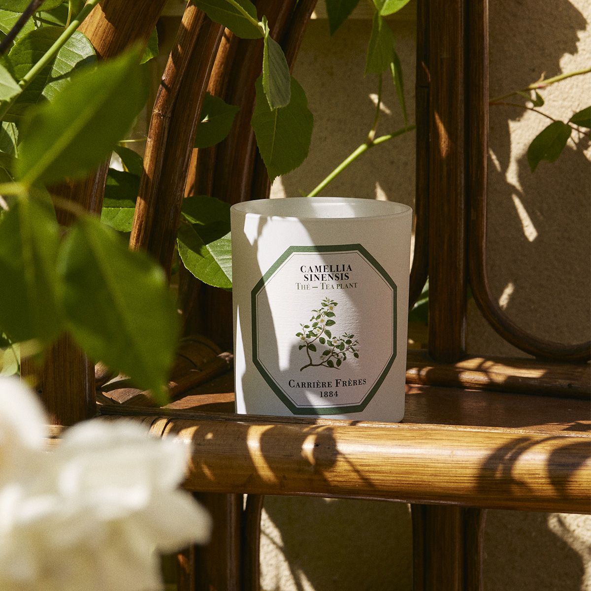 Carrière Frères - Tea Plant Candle
