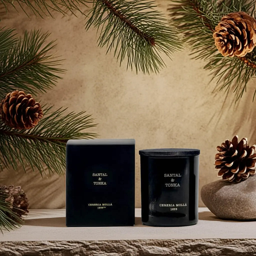 Santal & Tonka Black Premium Candle - 8 oz / 230 g Coastous