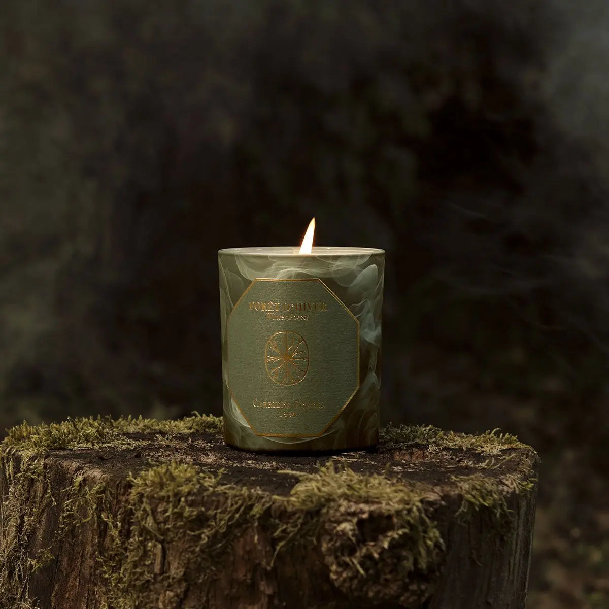 Winter Forest Candle 6.5 oz Coastous