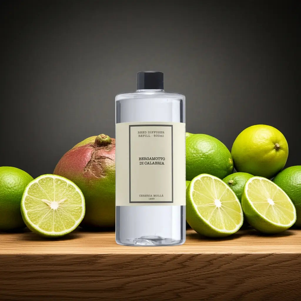 Premium diffuser refill 16.9 fl oz / 500 ml Coastous