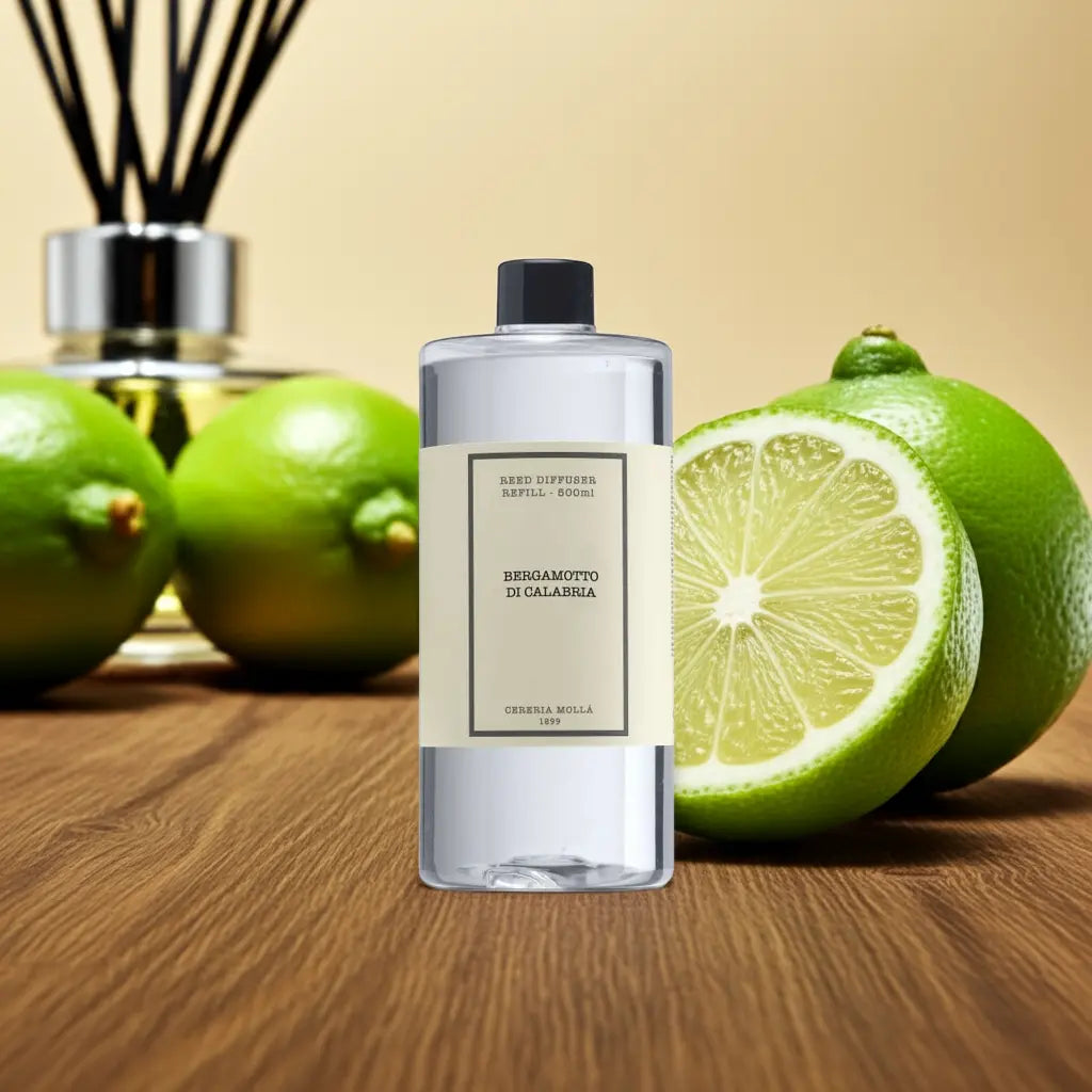 Premium diffuser refill 16.9 fl oz / 500 ml Coastous