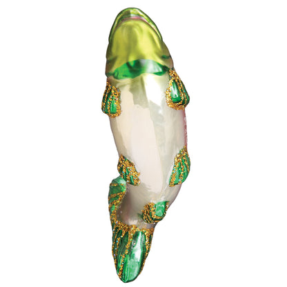 Alpine Rainbow Trout