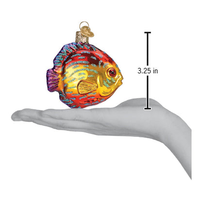 Discus Fish Ornament