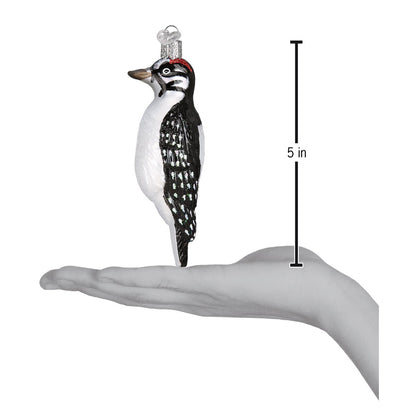 Hanging Hairy Woodpecker