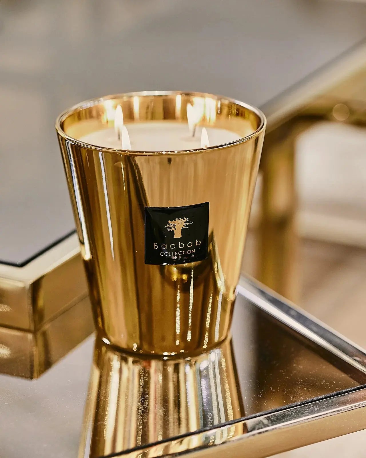 Baobab Collection - Candle Les Exclusives Aurum Petite