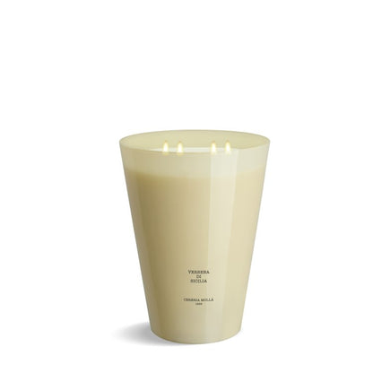 Cereria Molla - Candle - 15.4 lb/7 kg - 7 wick 3XL -  Verbena di Sicilia - Coastous