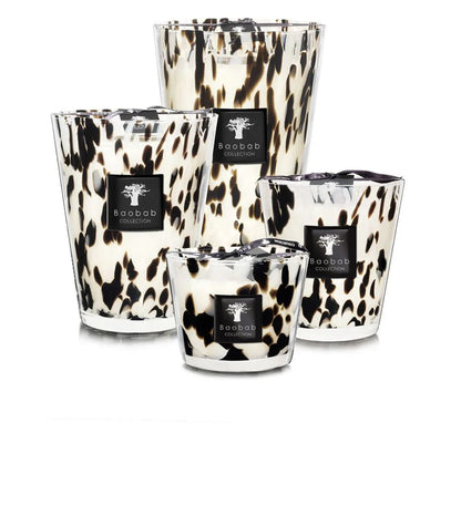 Baobab Collection candle set in stylish animal print glass design, featuring various sizes for elegant home decor.