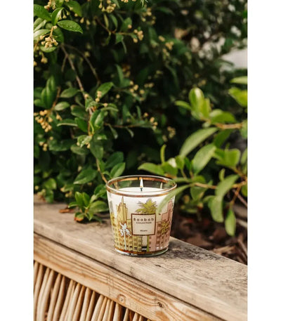 Baobab Collection - My First Baobab Miami Candle   