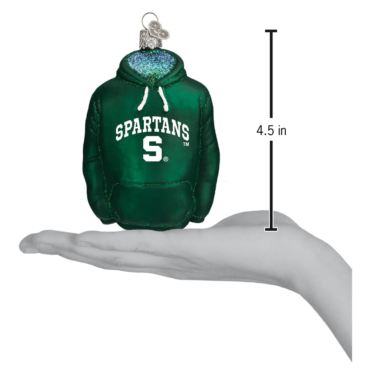 Michigan State Hoodie