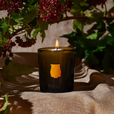Trudon - Cyrnos Candle   