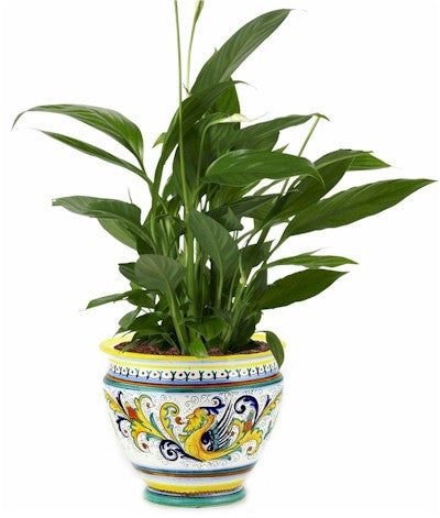 RAFFAELLESCO DELUXE: Luxury Cachepot Planter LARGE