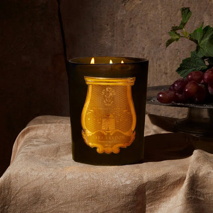 SOLIS REX CANDLE   Coastous